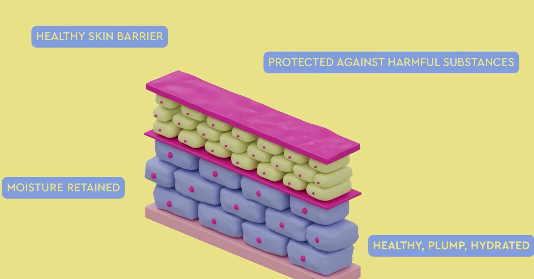 Healthy skin barrier illustration