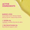 BodyOil_3.jpg Nourishing Body Oil